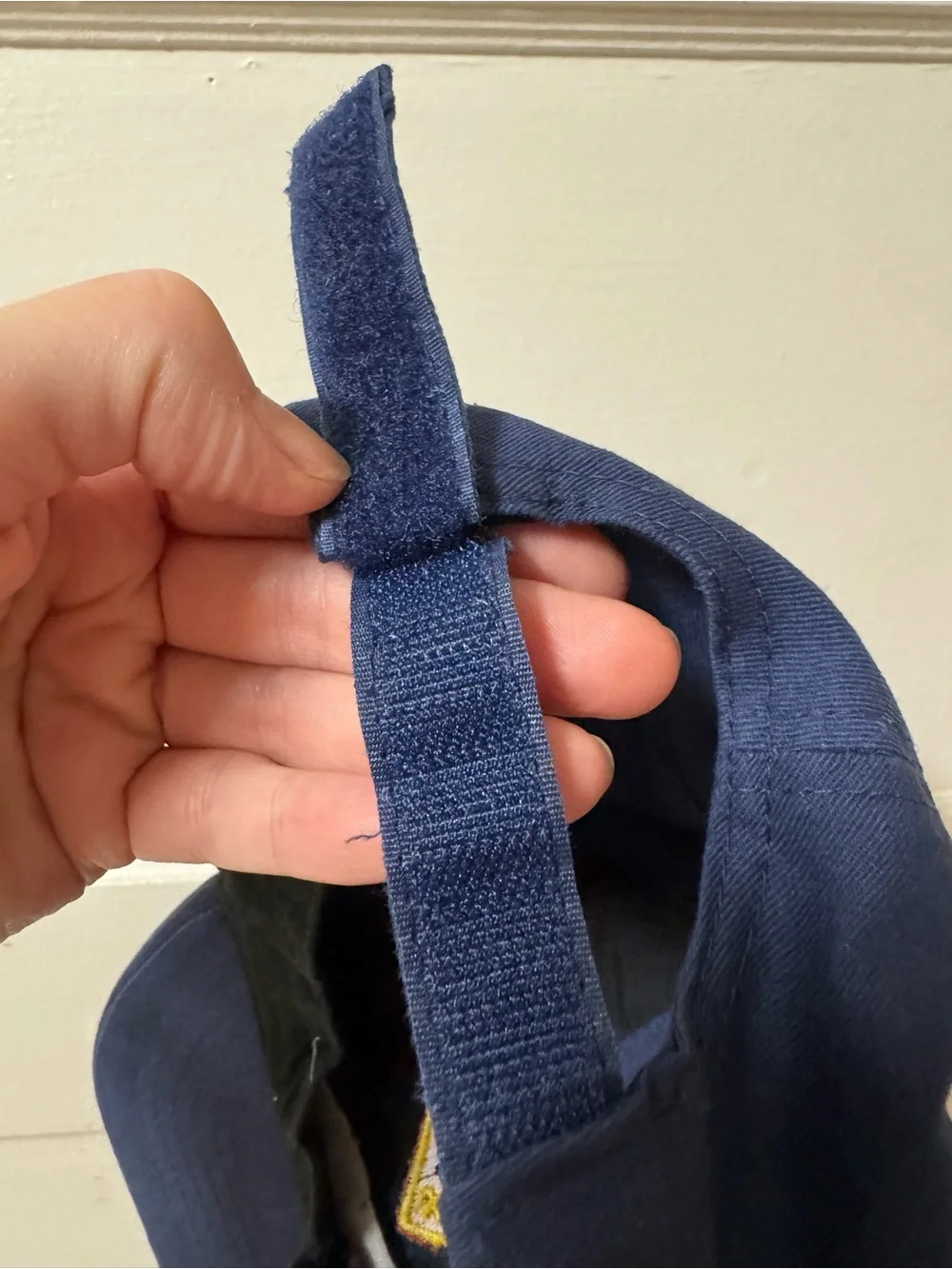 Cub Scouts Wolf Hat